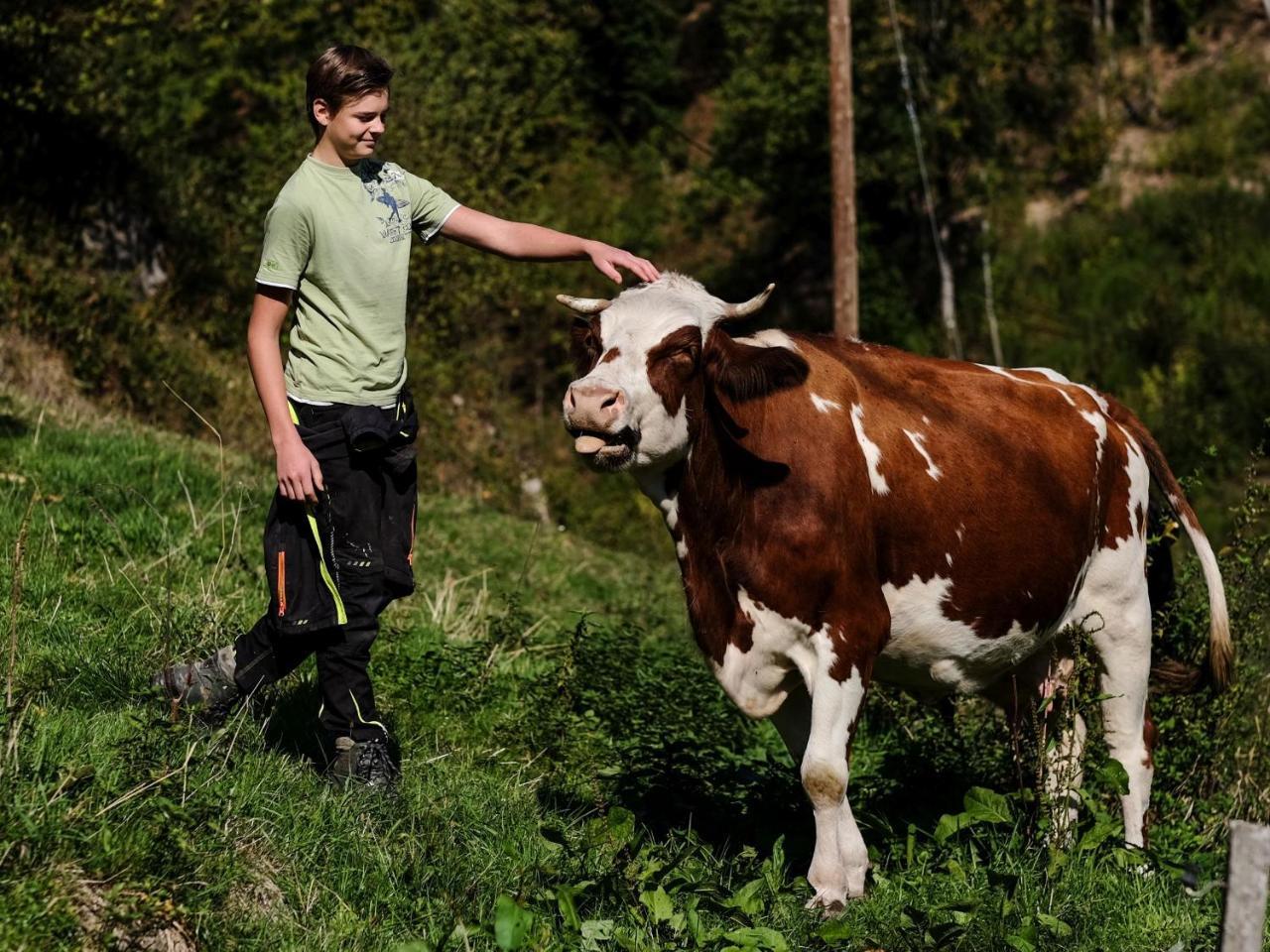 Ferienwohnungen Giedensbach Oberkirch  Esterno foto