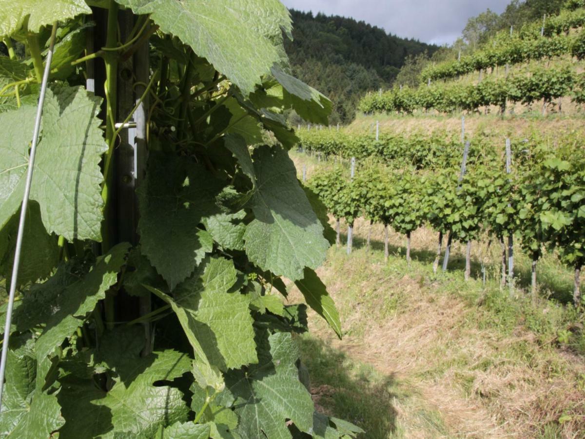 Ferienwohnungen Giedensbach Oberkirch  Esterno foto