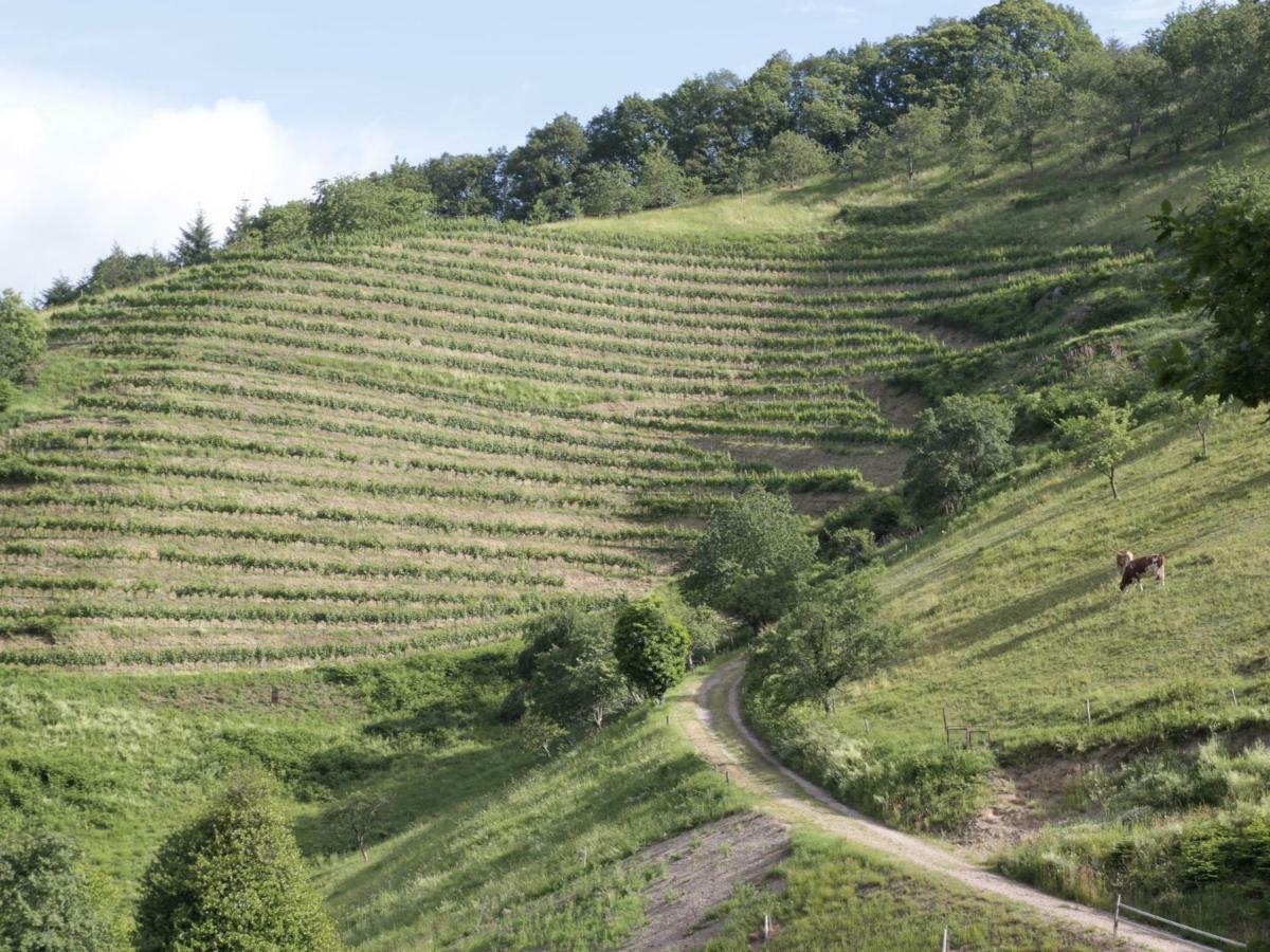 Ferienwohnungen Giedensbach Oberkirch  Esterno foto