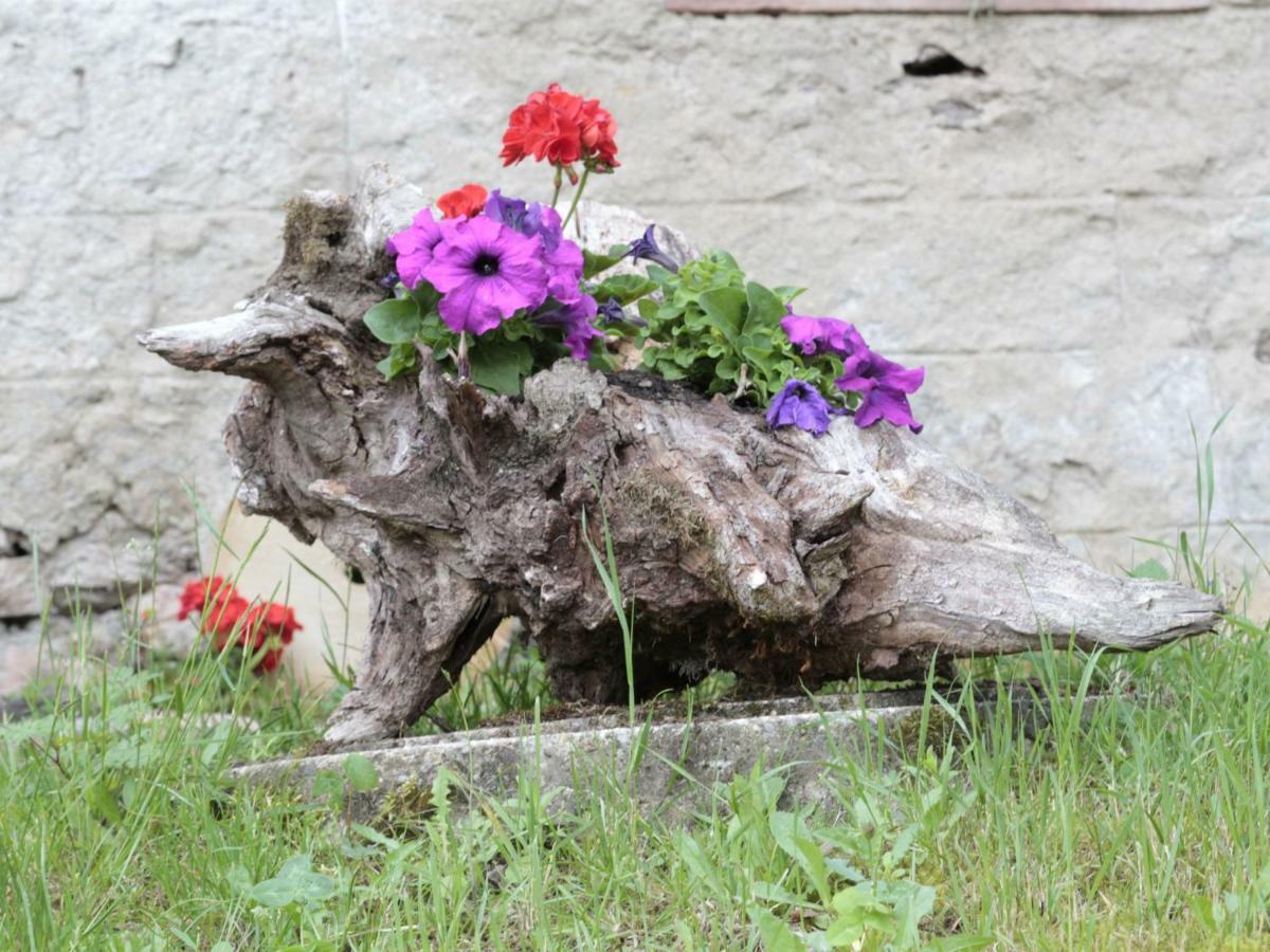 Ferienwohnungen Giedensbach Oberkirch  Esterno foto