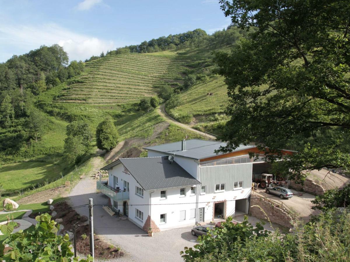 Ferienwohnungen Giedensbach Oberkirch  Esterno foto