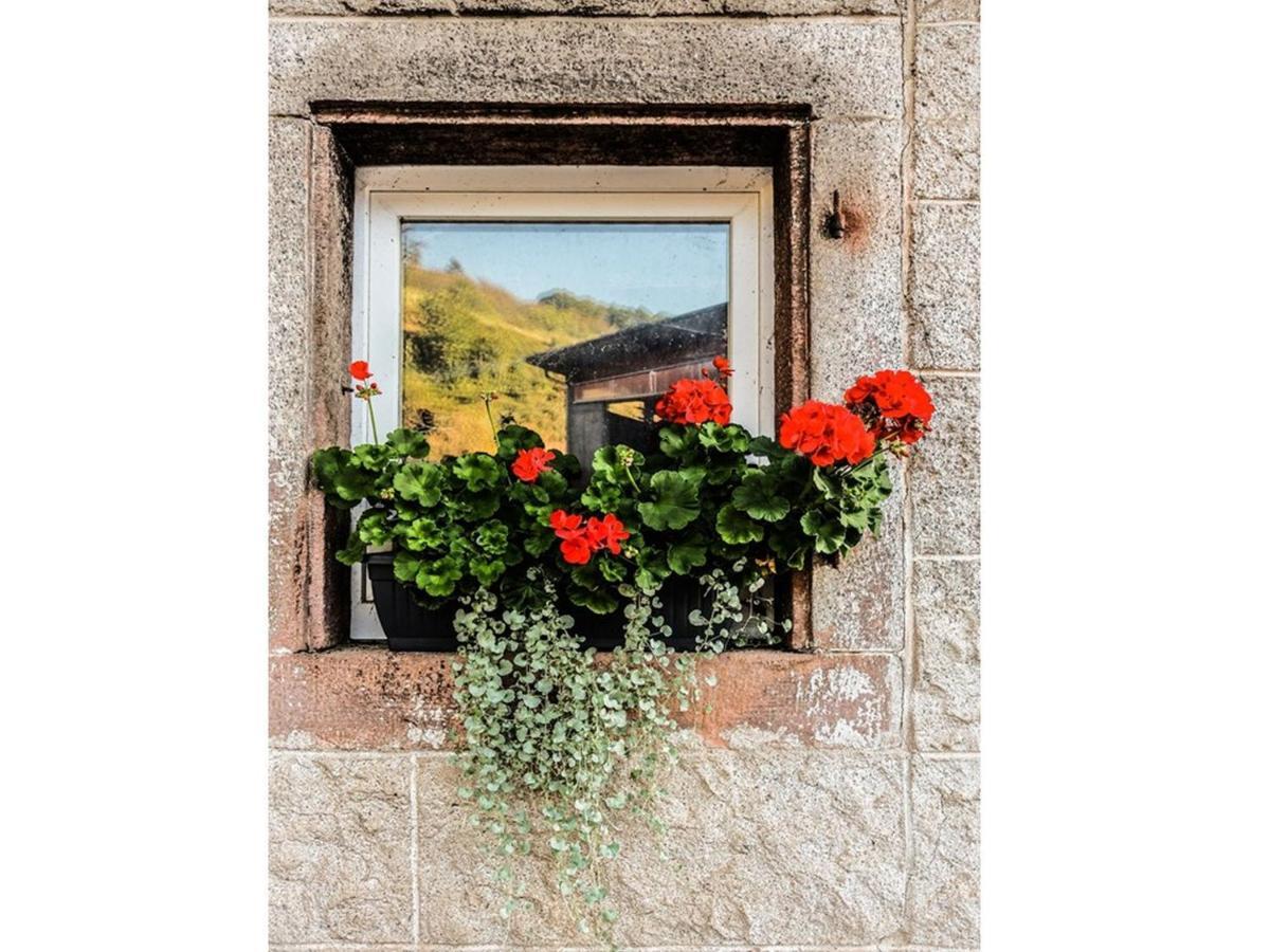 Ferienwohnungen Giedensbach Oberkirch  Esterno foto