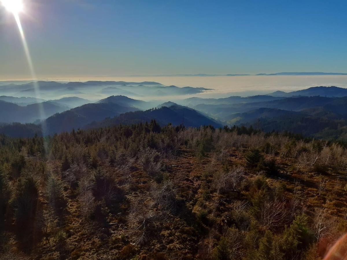 Ferienwohnungen Giedensbach Oberkirch  Esterno foto