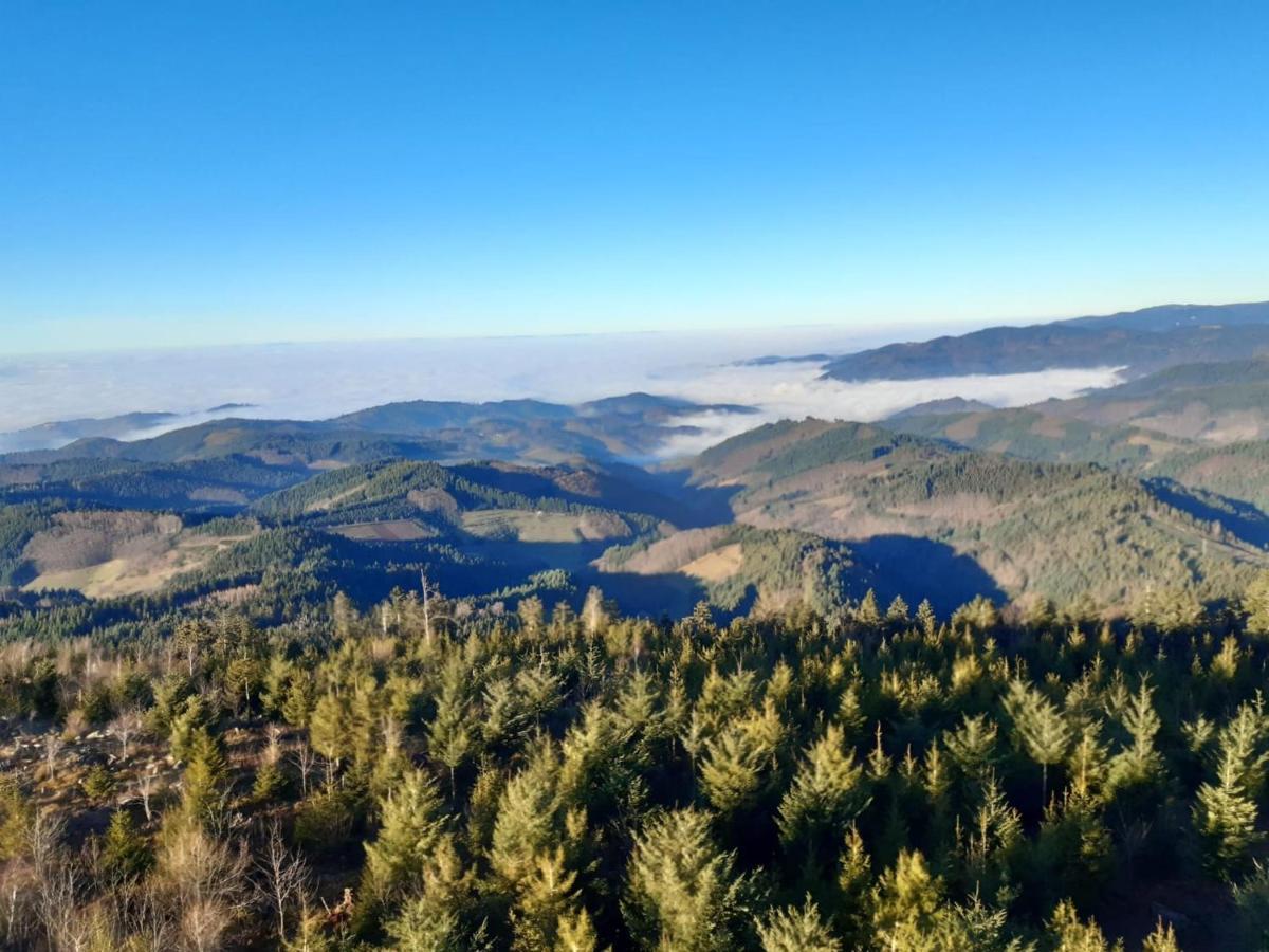 Ferienwohnungen Giedensbach Oberkirch  Esterno foto