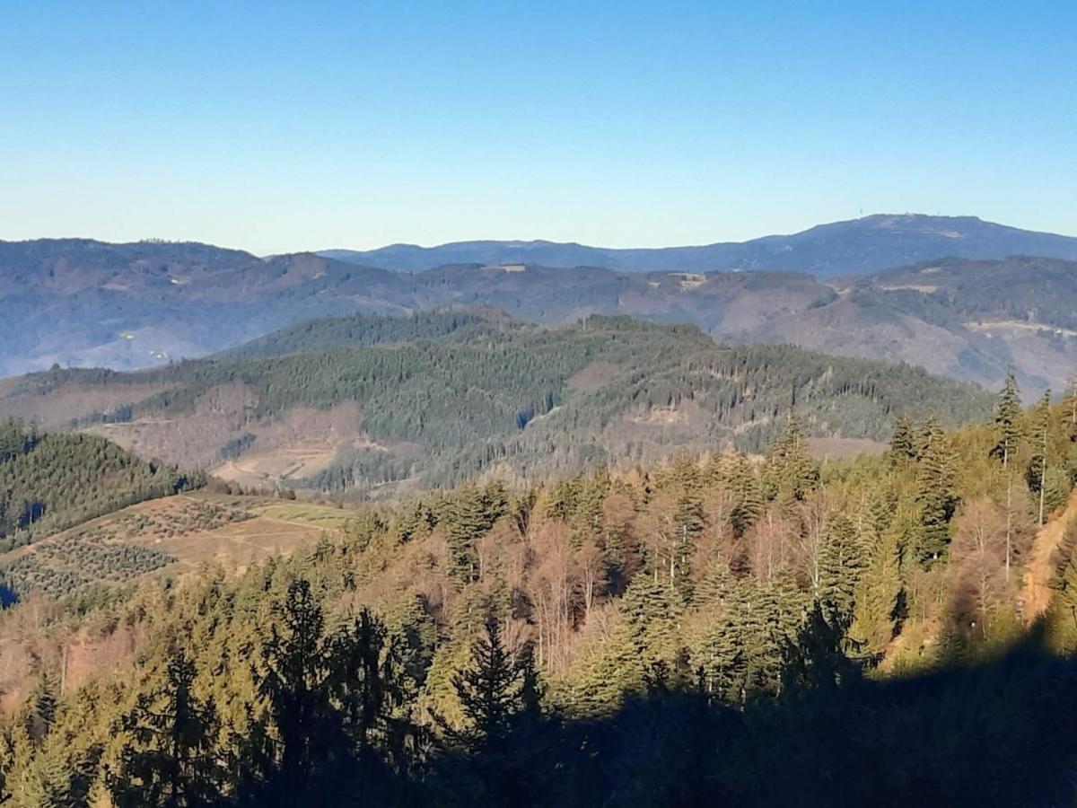 Ferienwohnungen Giedensbach Oberkirch  Esterno foto