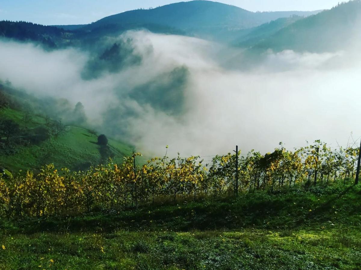 Ferienwohnungen Giedensbach Oberkirch  Esterno foto